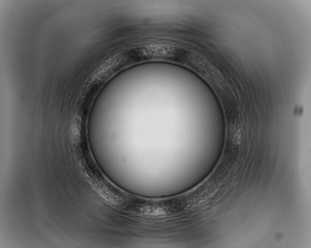 X0000100770735200806261543