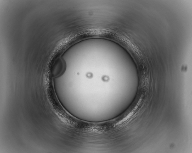 X0000100770736200806261543