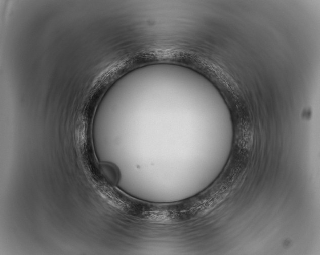X0000100770740200806261543