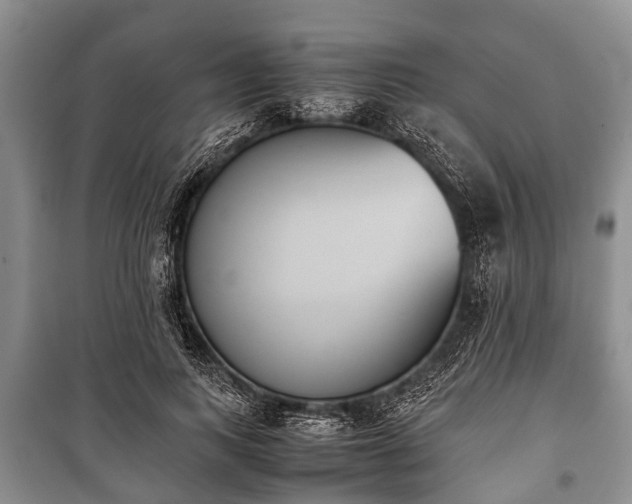 X0000100770743200806261543