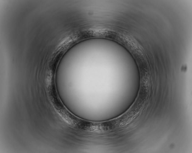 X0000100770744200806261543