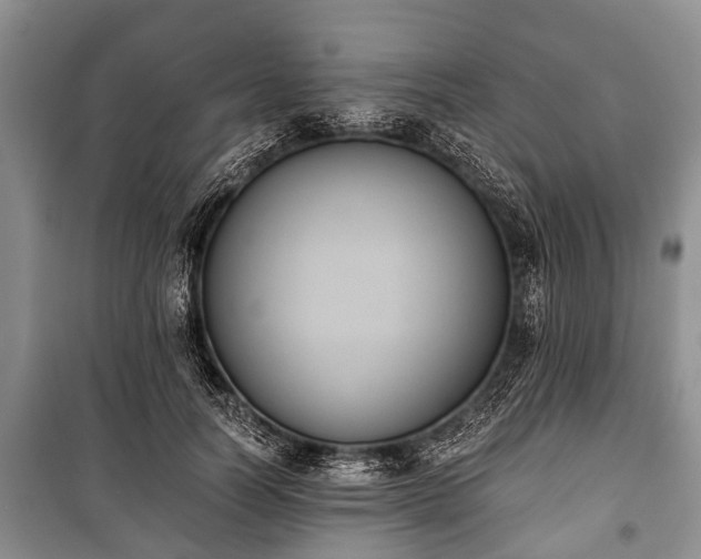 X0000100770746200806261543