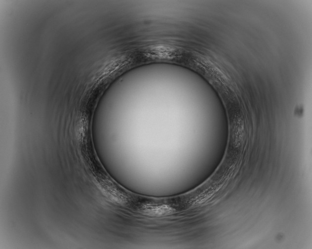 X0000100770747200806261543