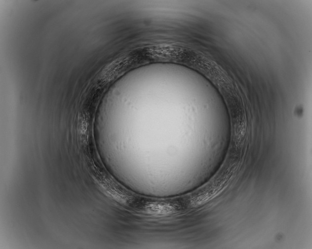 X0000100770749200806261543