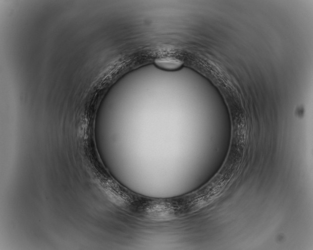 X0000100770750200806261543