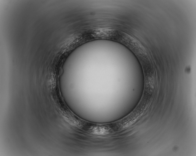 X0000100770751200806261543