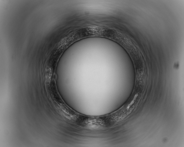 X0000100770752200806261543