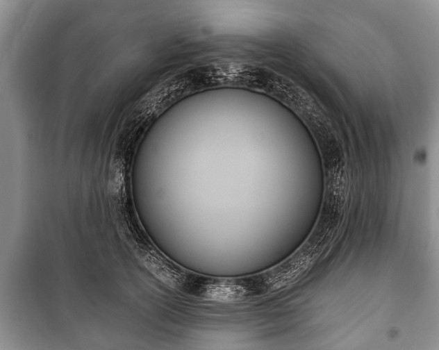 X0000100770754200806261543