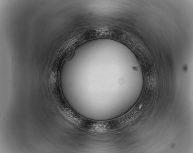 X0000100770756200806261543