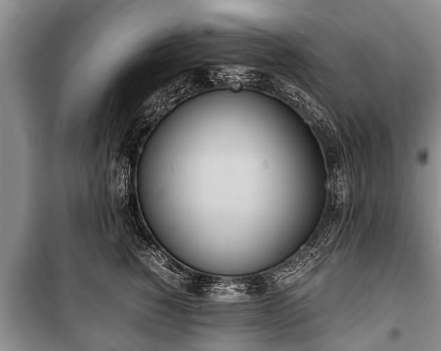 X0000100770760200806261543