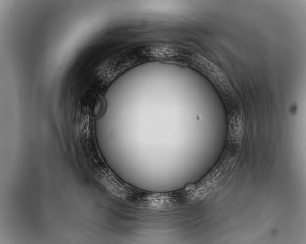 X0000100770762200806261543