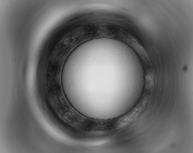 X0000100770765200806261543
