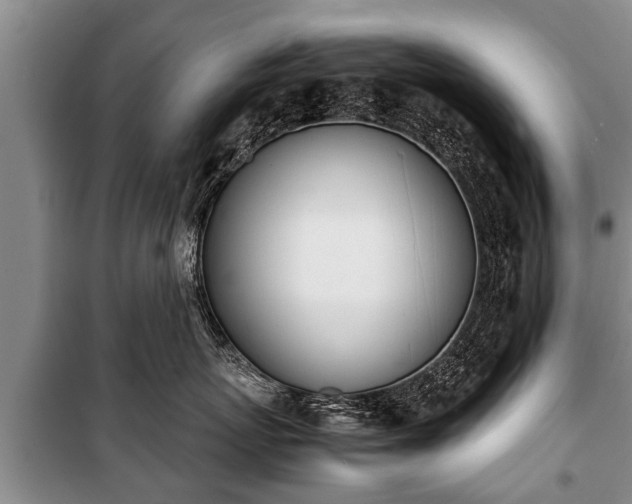 X0000100770767200806261543