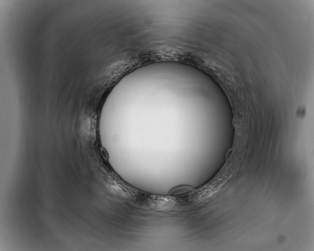 X0000100770768200806261543
