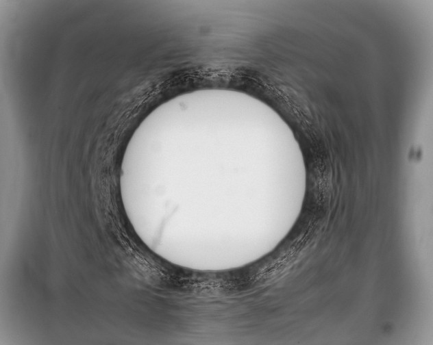 X0000100770769200806261542