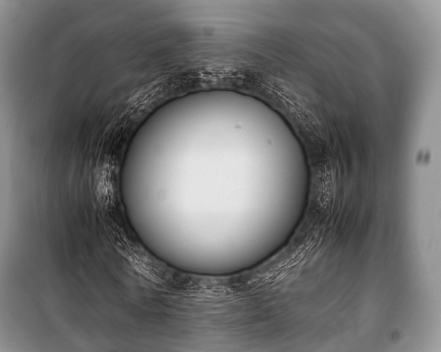 X0000100770770200806261542