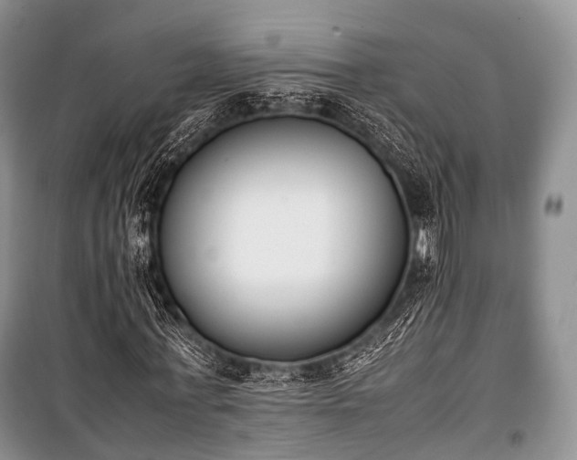 X0000100770771200806261542
