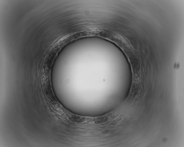 X0000100770773200806261542