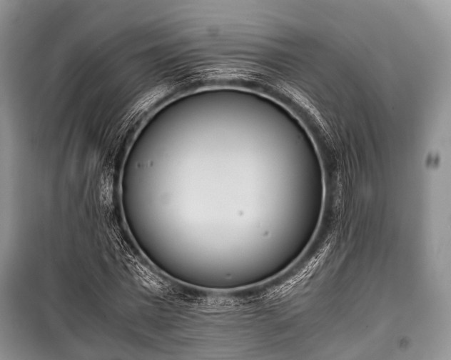 X0000100770777200806261542