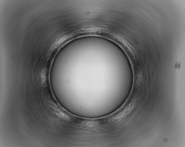 X0000100770778200806261542