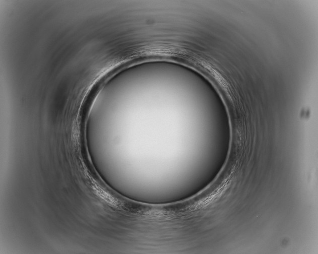 X0000100770779200806261542