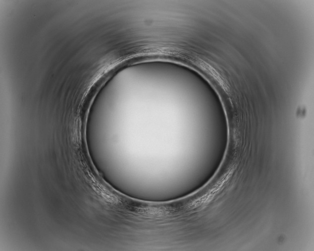 X0000100770781200806261542
