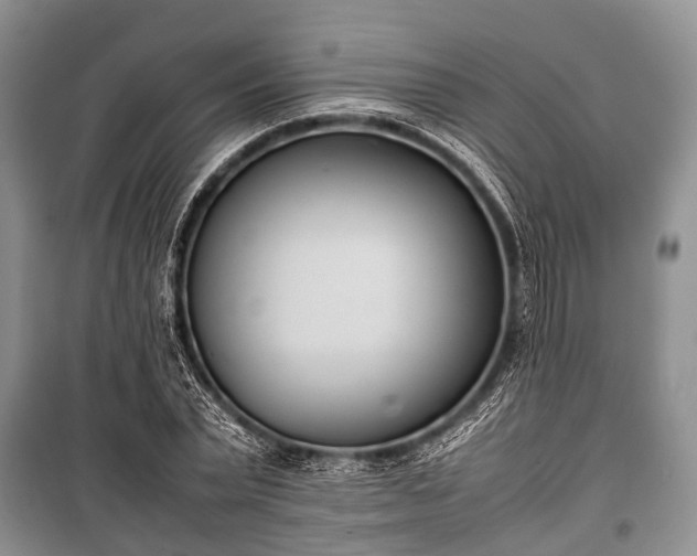 X0000100770783200806261542