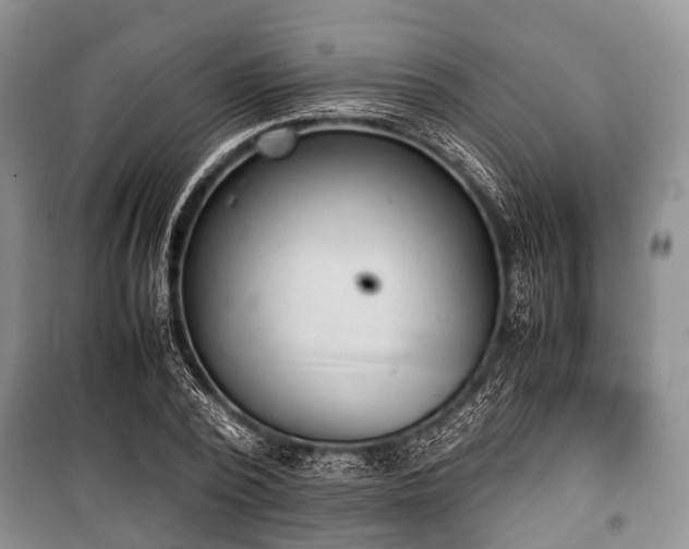 X0000100770784200806261542