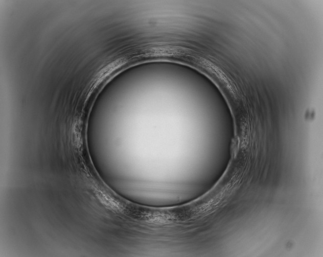 X0000100770786200806261542
