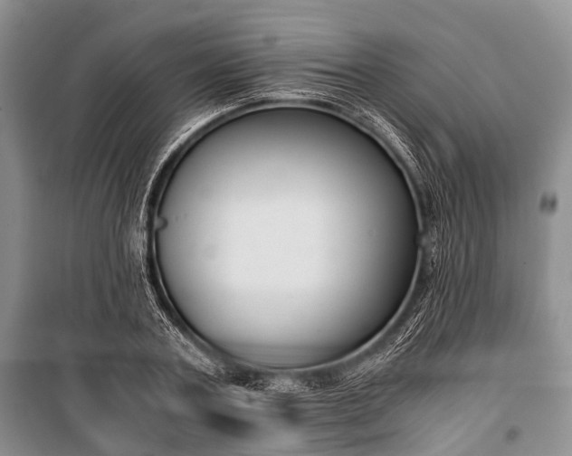 X0000100770787200806261542