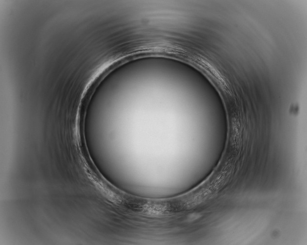 X0000100770788200806261542