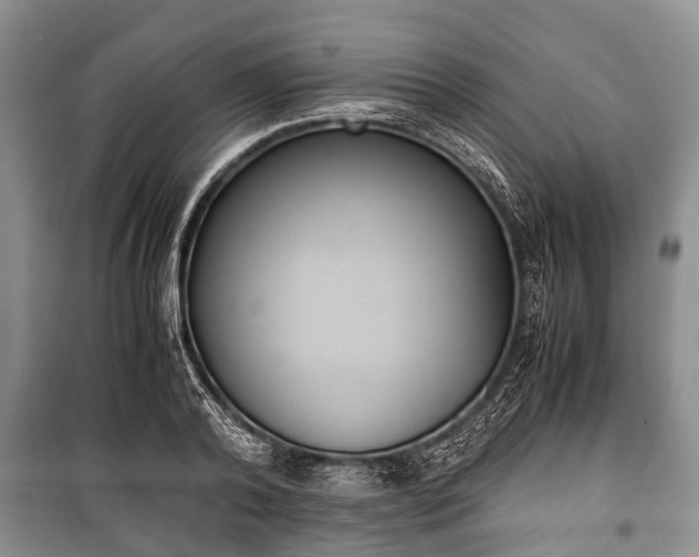 X0000100770792200806261542