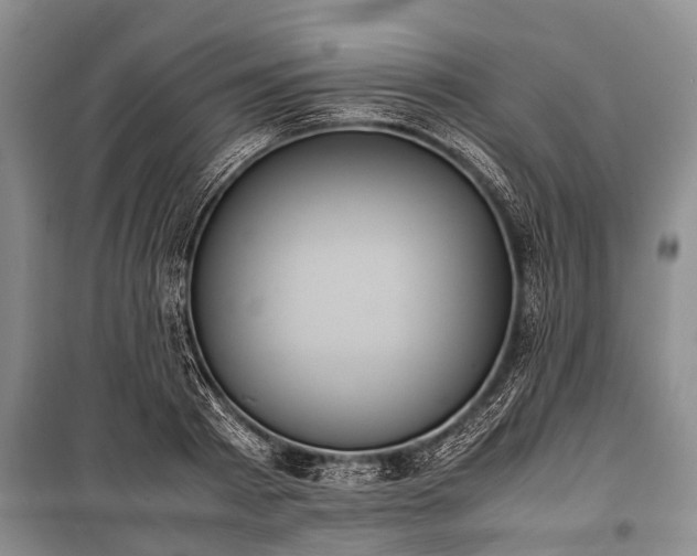 X0000100770793200806261542