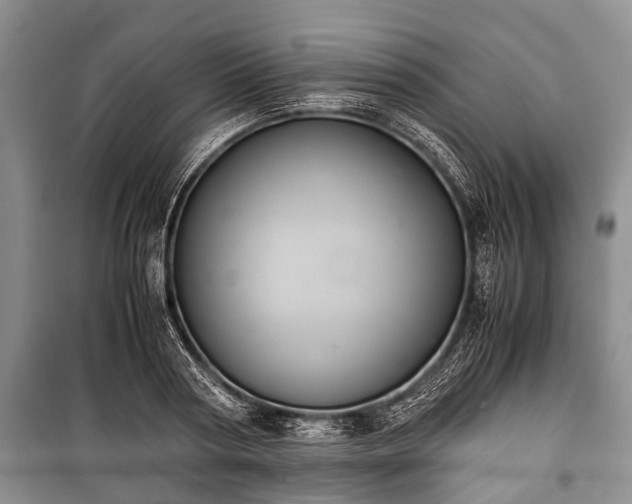 X0000100770794200806261542