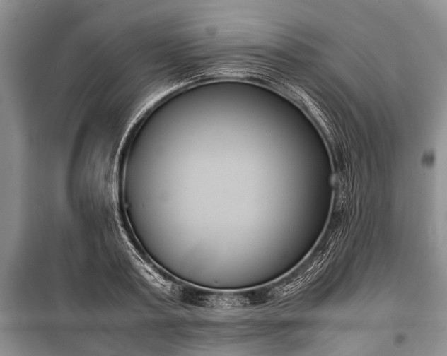 X0000100770795200806261542