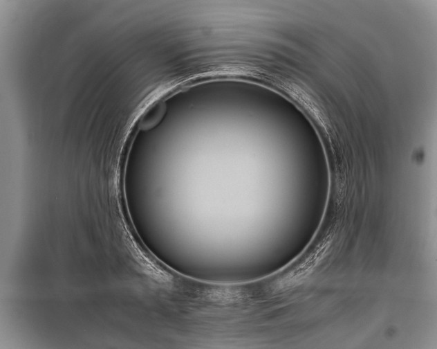 X0000100770797200806261542