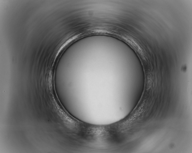X0000100770798200806261542