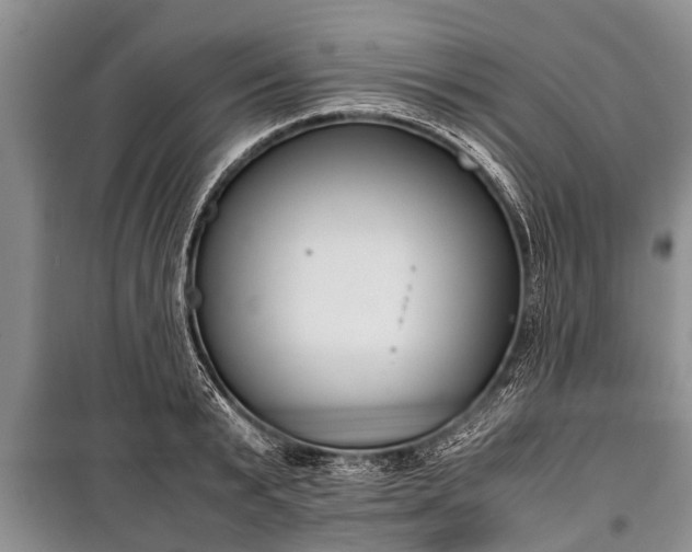 X0000100770799200806261542