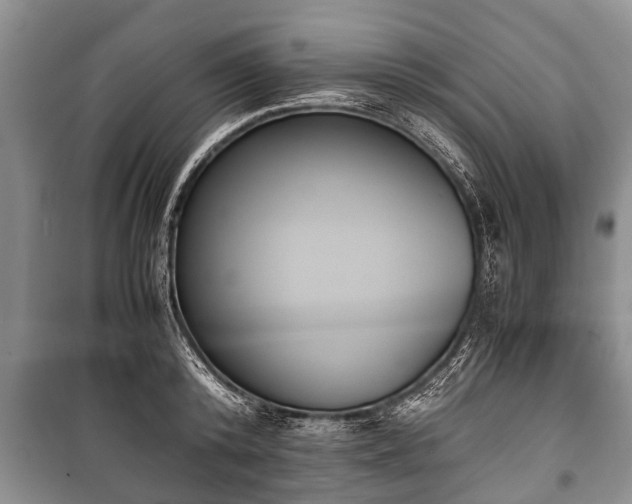 X0000100770800200806261542
