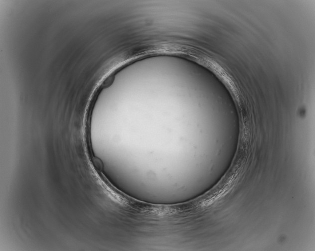 X0000100770803200806261542