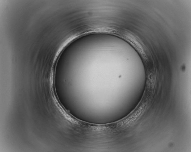 X0000100770804200806261542
