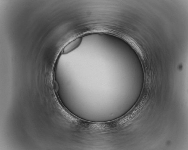 X0000100770805200806261542