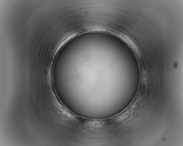 X0000100770806200806261542
