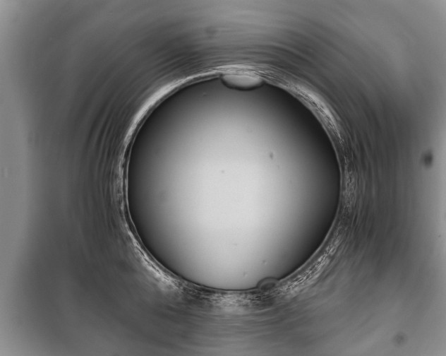 X0000100770808200806261542