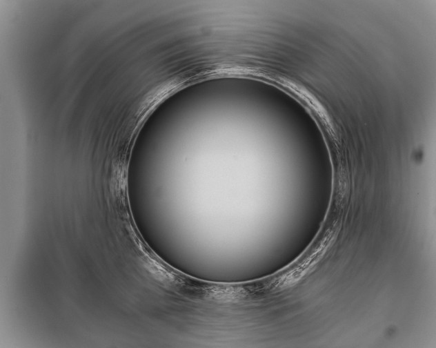 X0000100770809200806261542