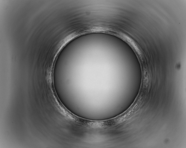 X0000100770810200806261542