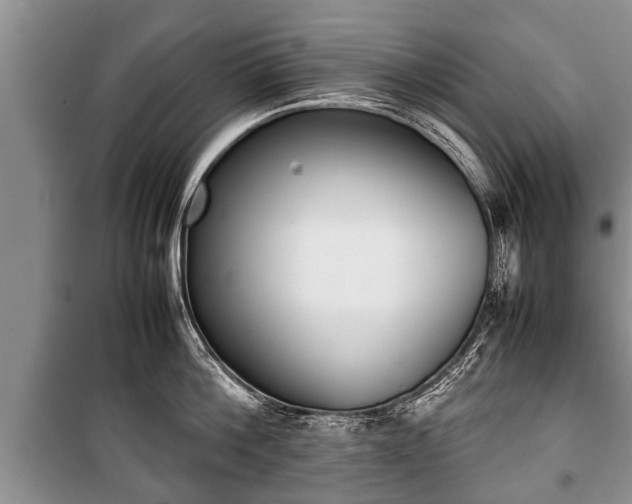 X0000100770812200806261542