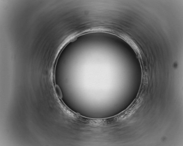 X0000100770813200806261542