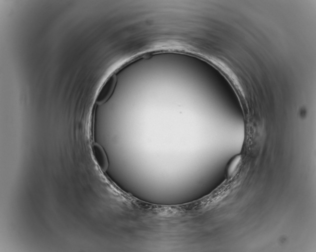 X0000100770815200806261542