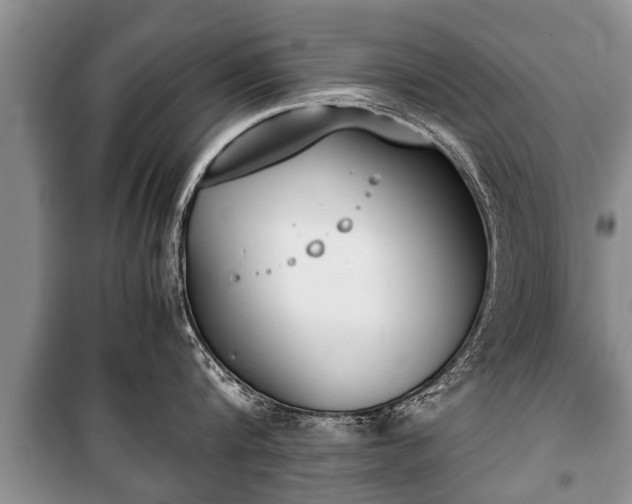 X0000100770816200806261542